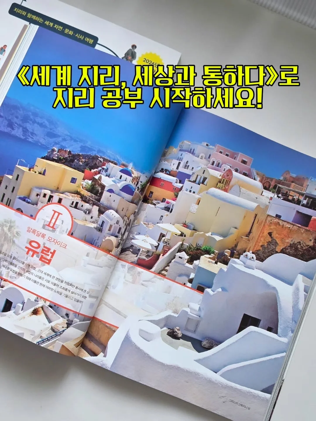 와이드 수세미 거치대 10