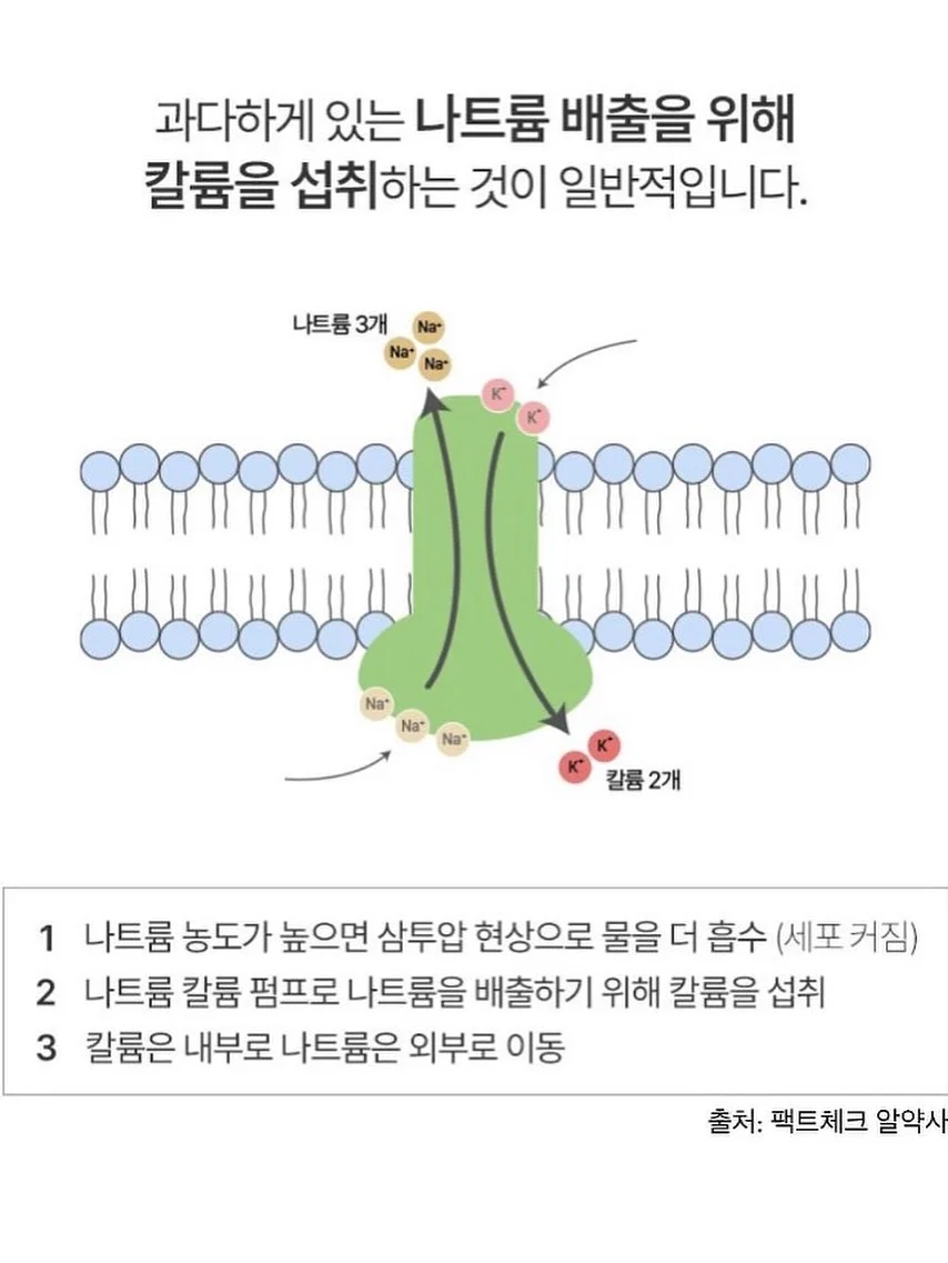 샵한현재 립앤치크 올인원밤 7