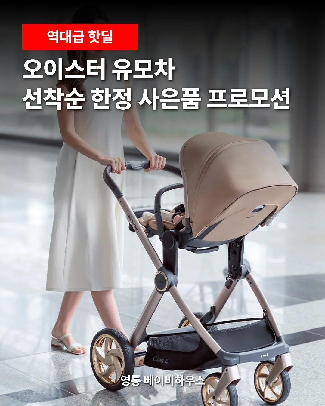 반려동물 지원금 1