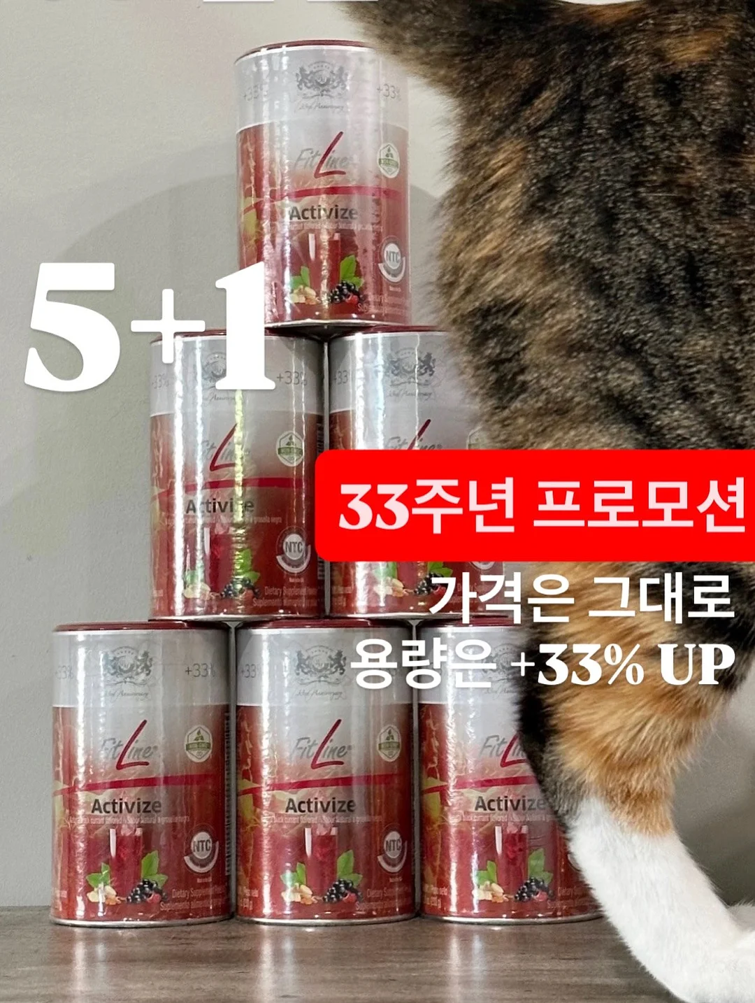 대전 빵투어 1