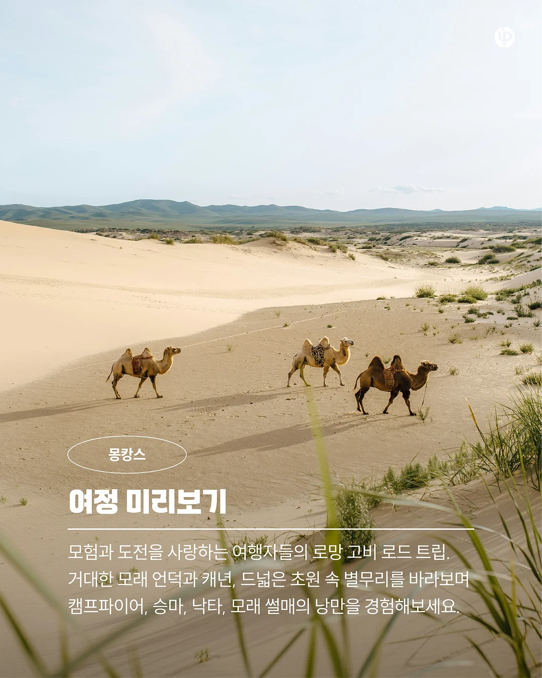 부부의 날 영상 6