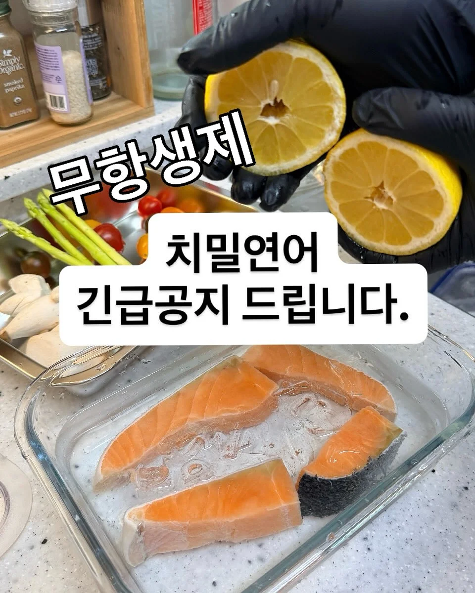 레이스캉후드세트 1