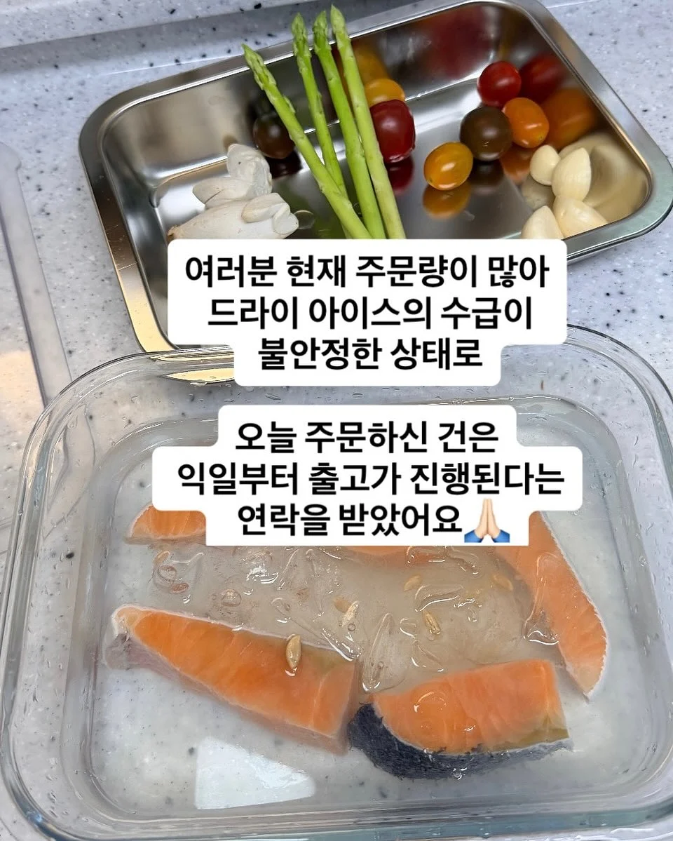 레이스캉후드세트 2