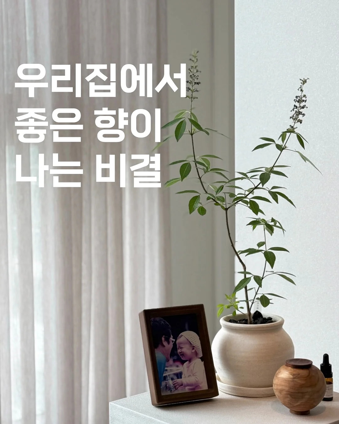 반팔 + 버뮤다 코디 1
