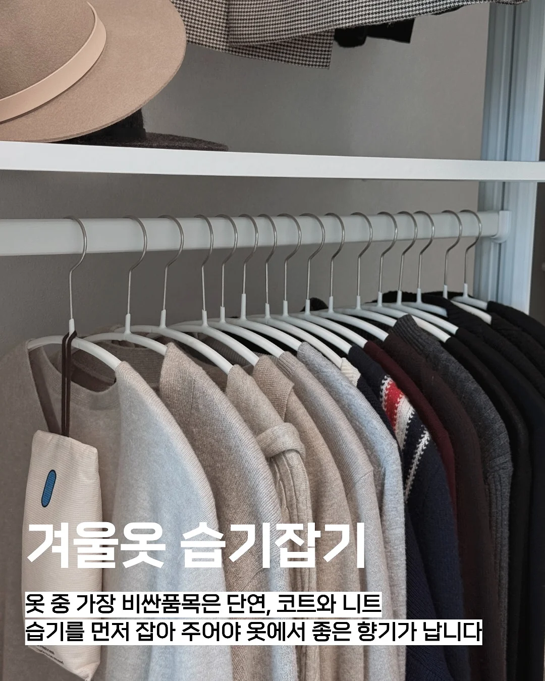 반팔 + 버뮤다 코디 2