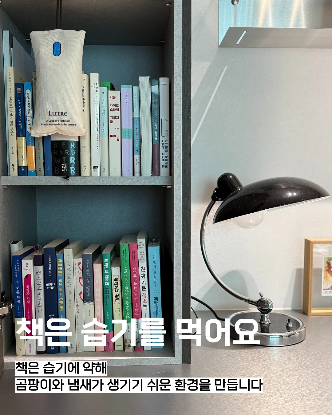 반팔 + 버뮤다 코디 4