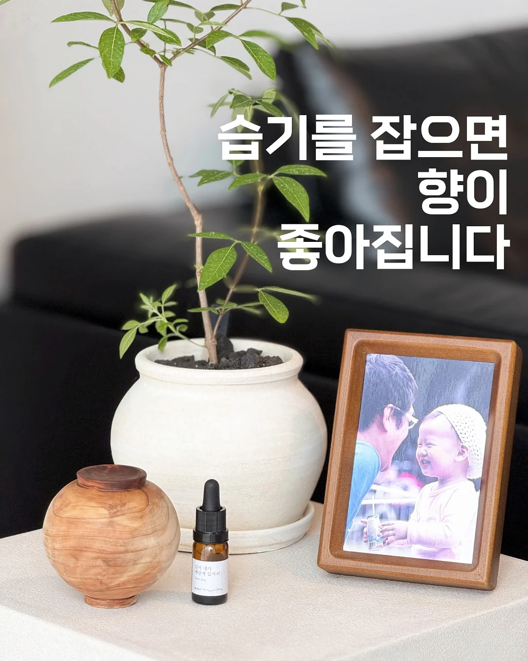 반팔 + 버뮤다 코디 7