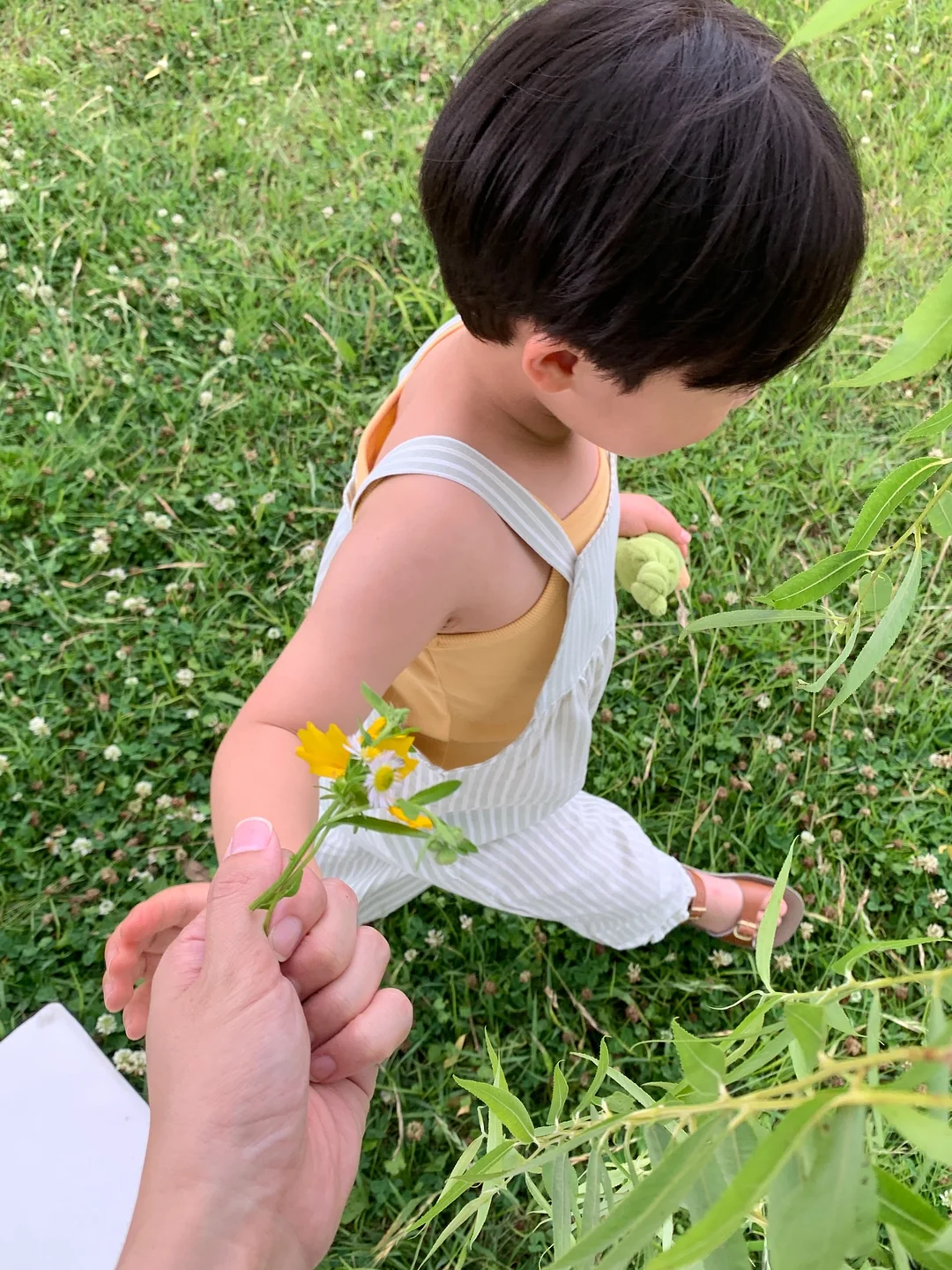 컵케이크 18