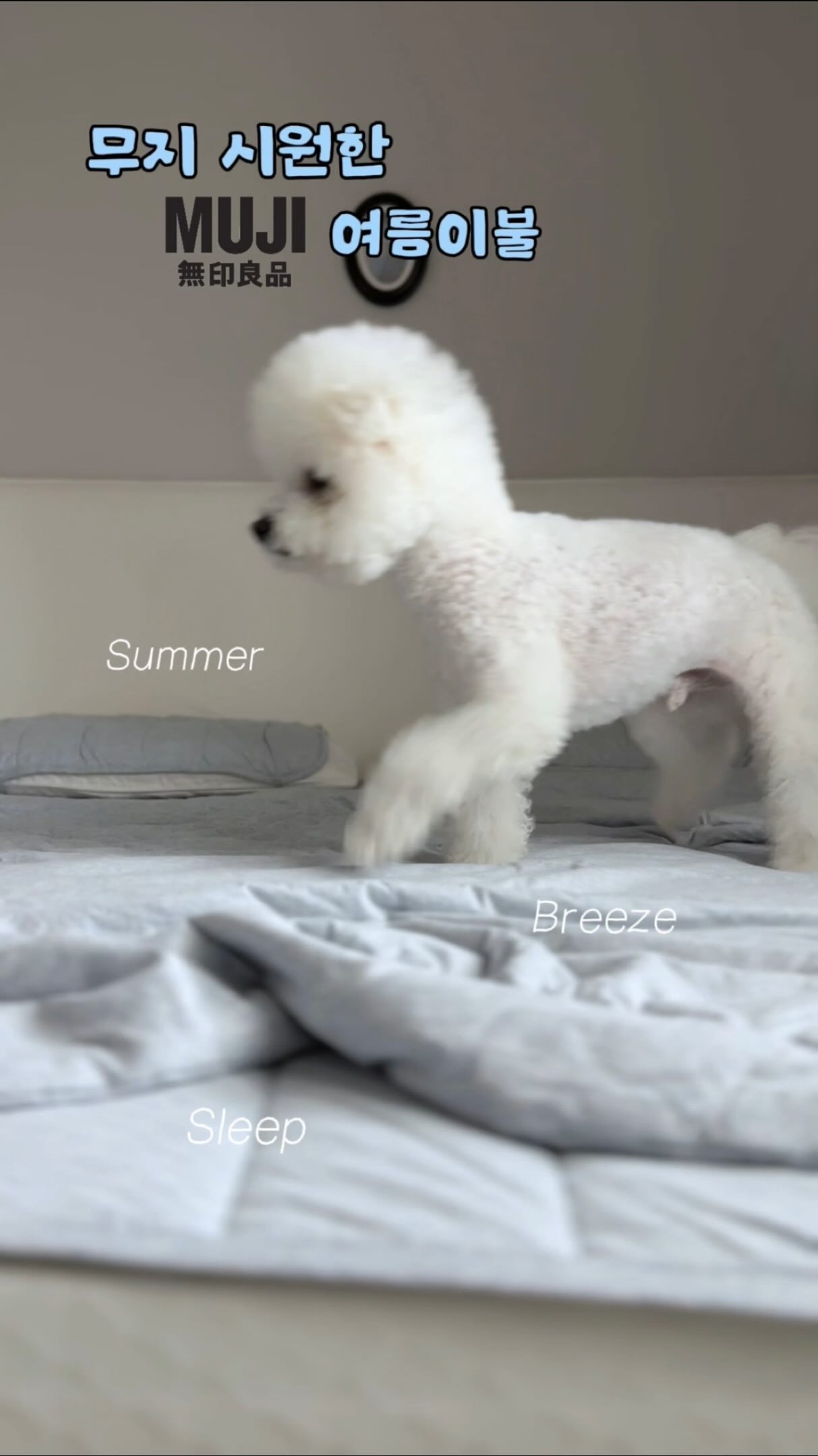 놈캐리어