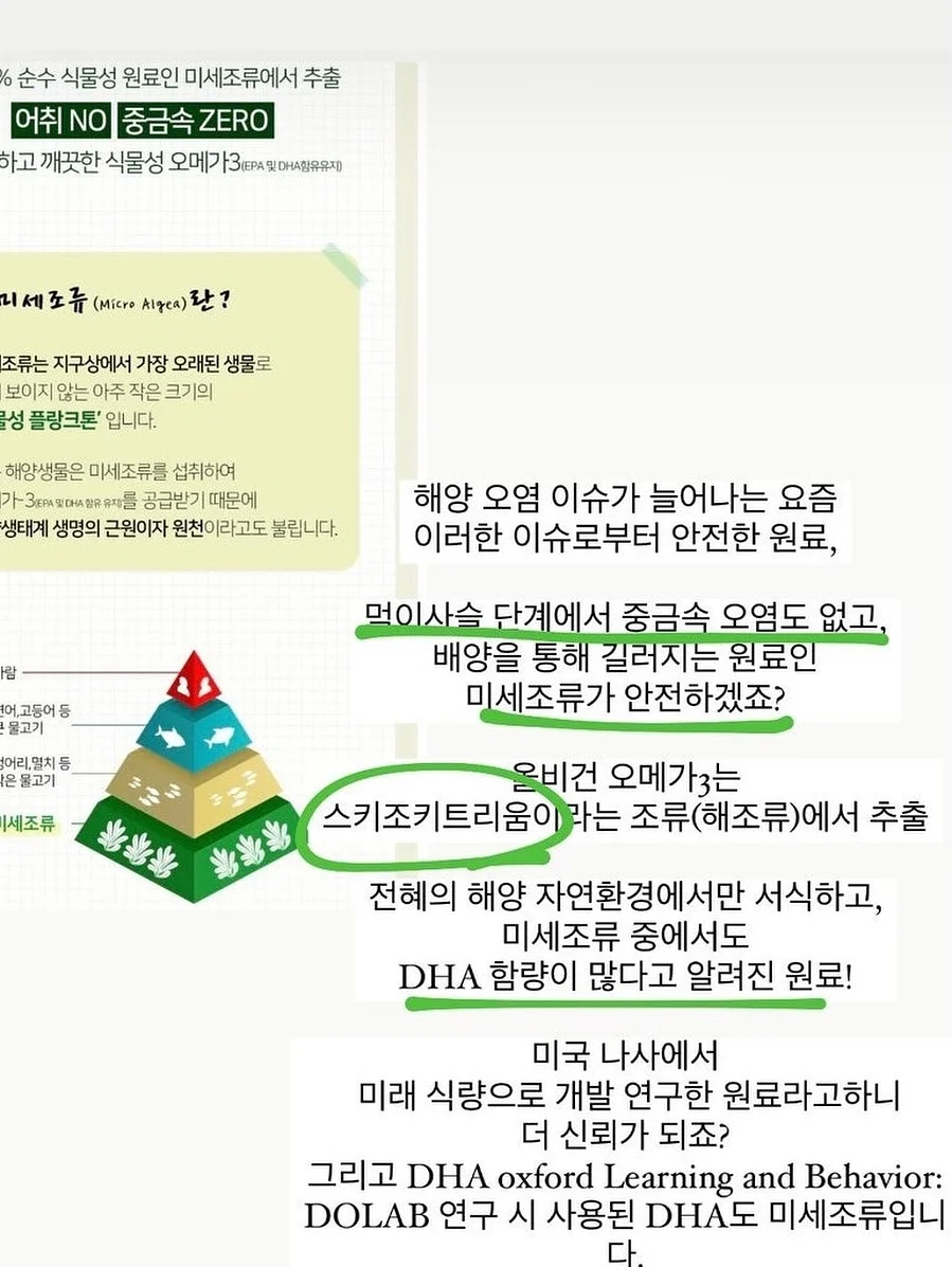 복숭아 3
