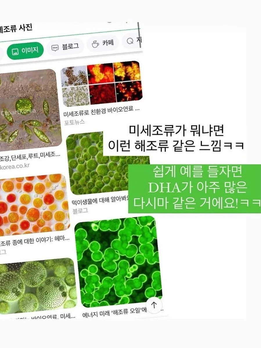 복숭아 5
