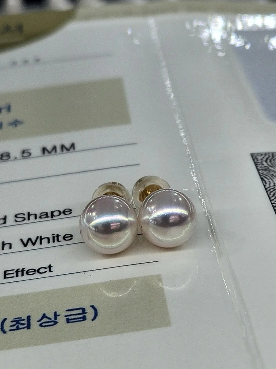 블랙백 5