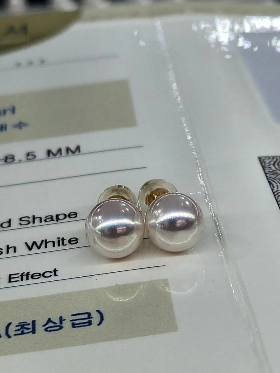 블랙백 7