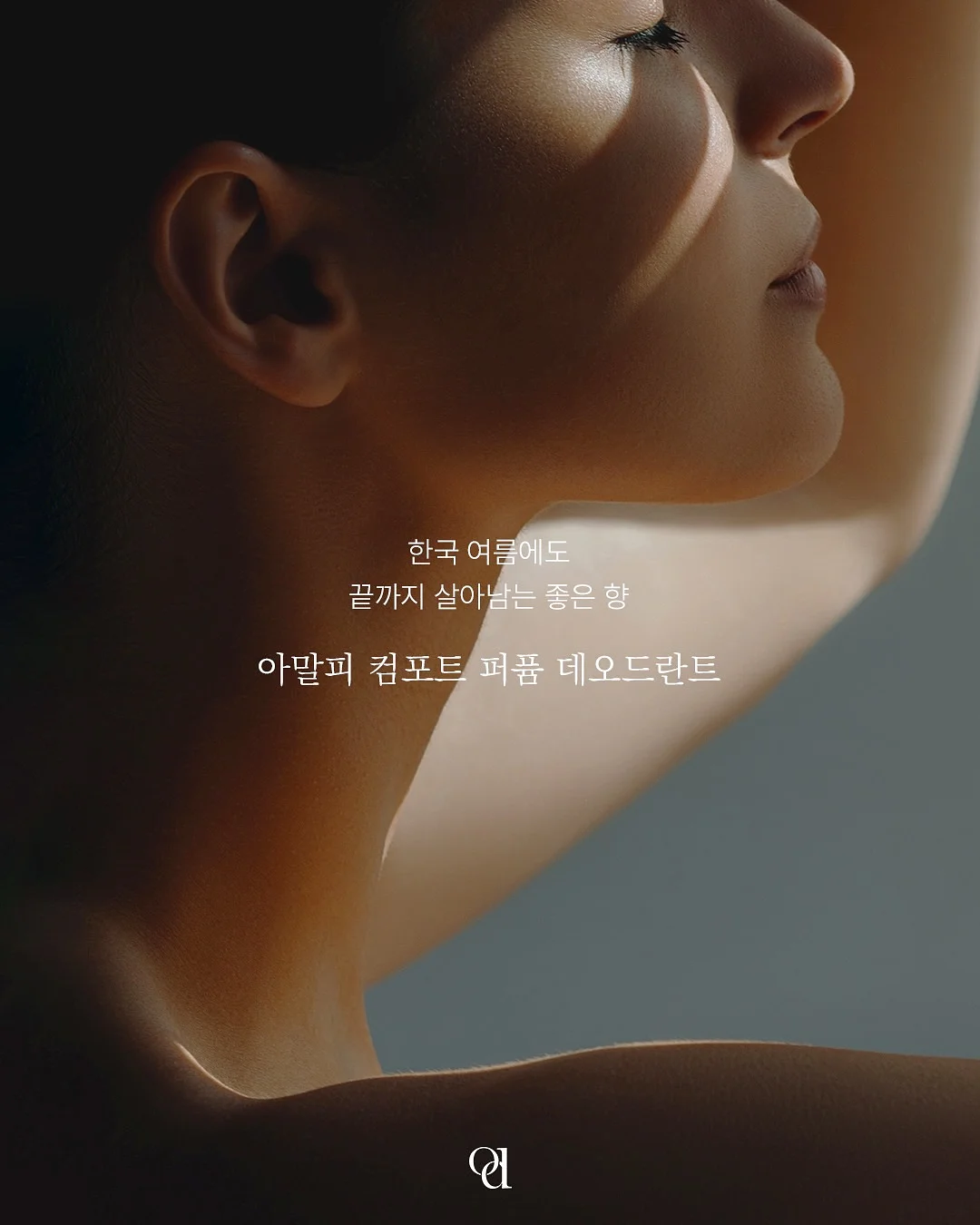 모루 플라워 아트 지도사 과정 1