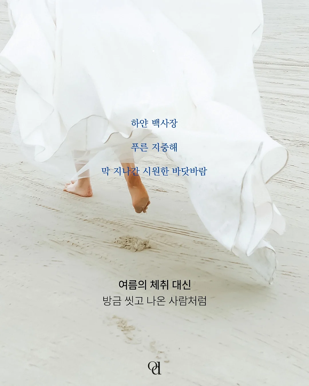 모루 플라워 아트 지도사 과정 2