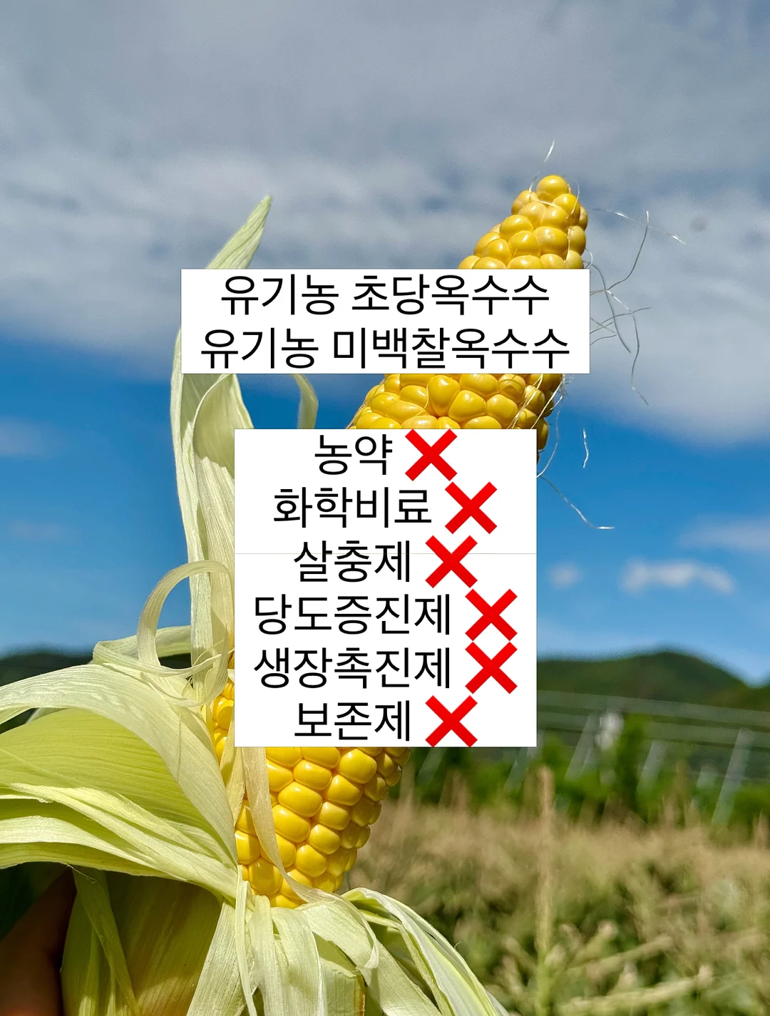 LOVE 링 2