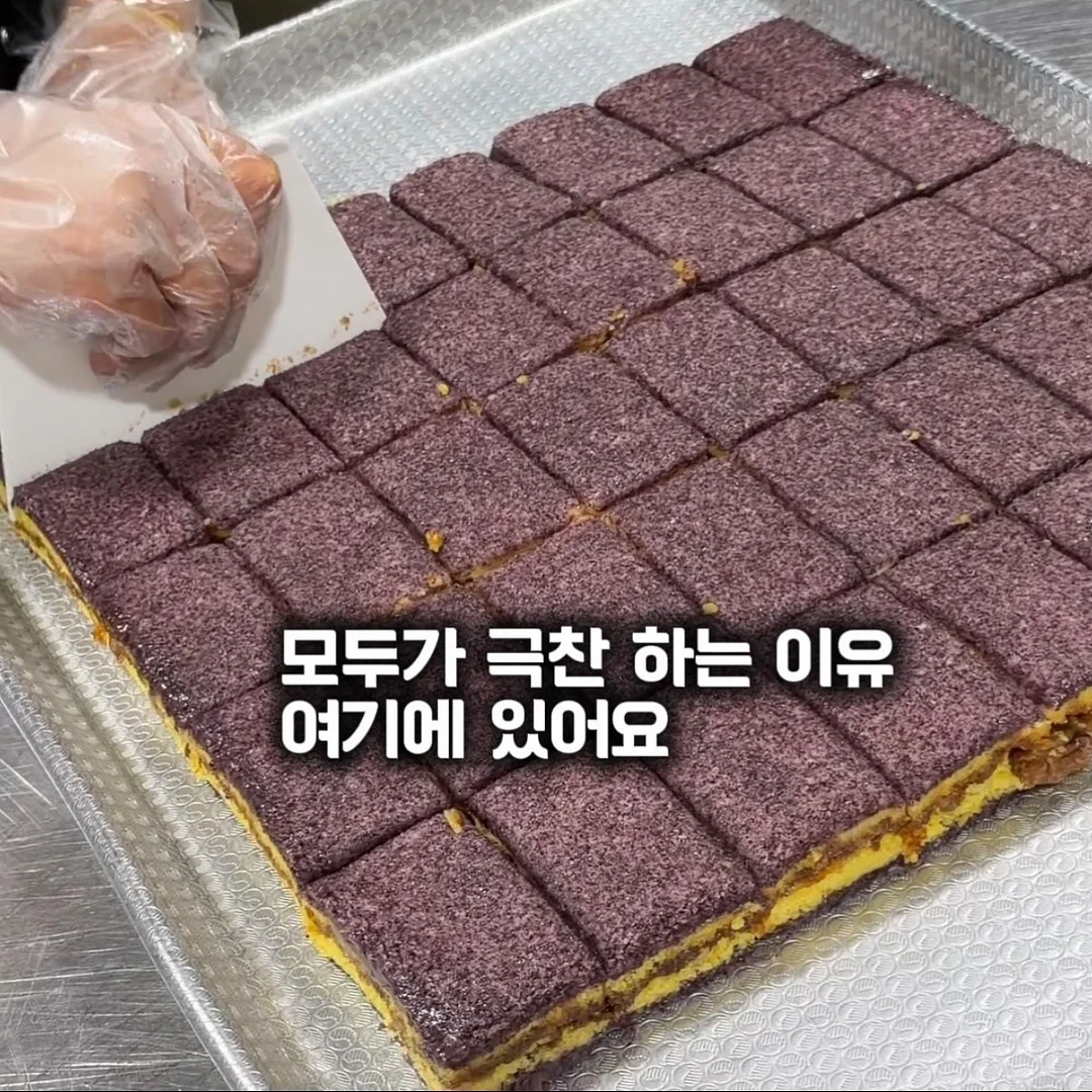 네리티아 파운데이션 1