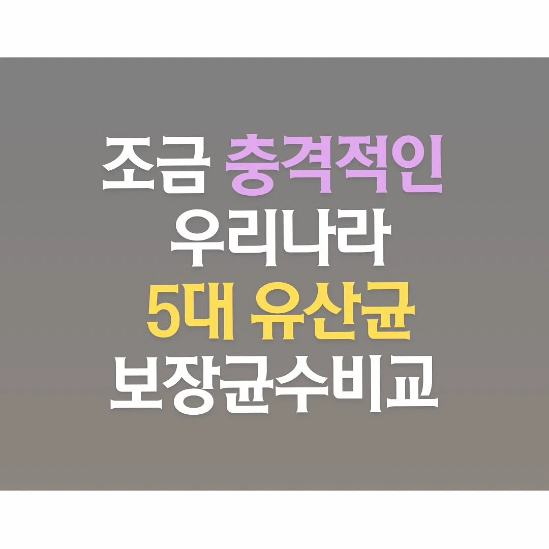 8부 스판 팬츠 1