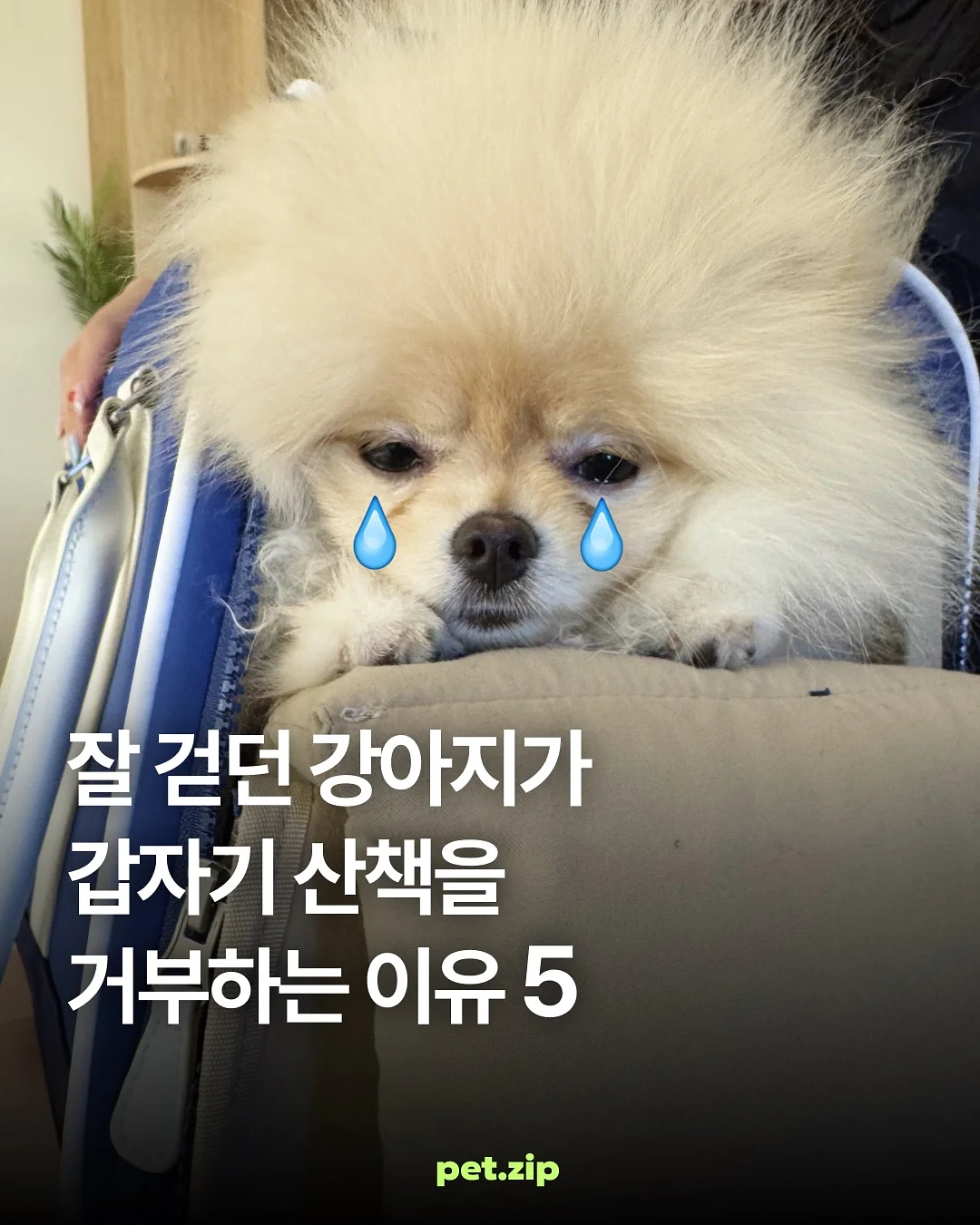 SIGNATURE CLASSIC 속눈썹 1