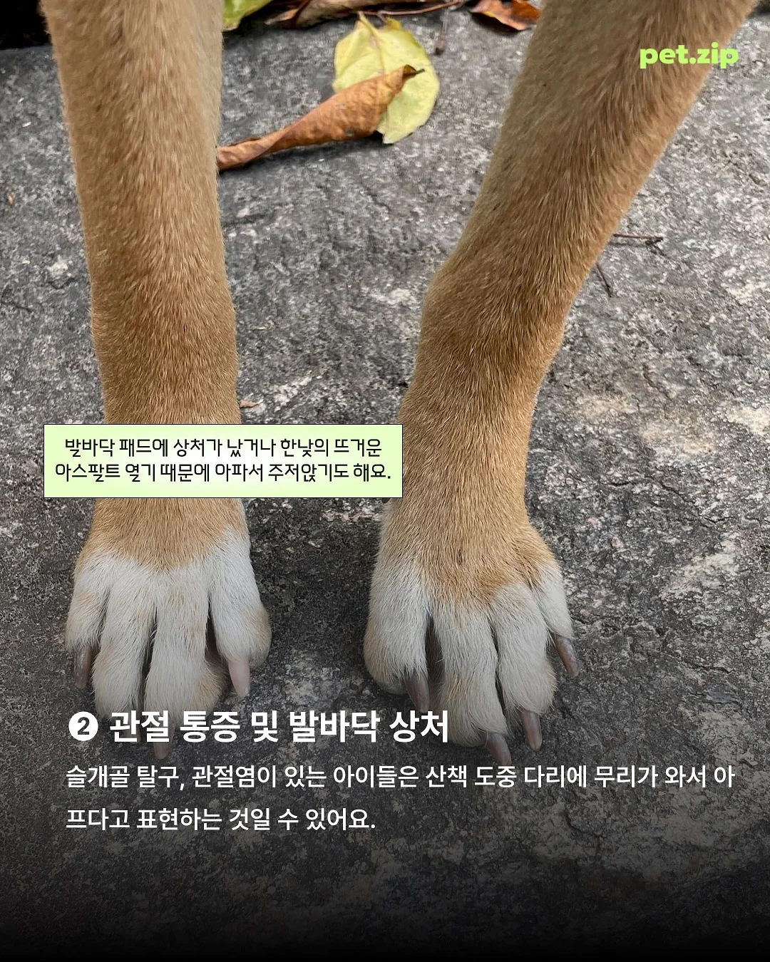 SIGNATURE CLASSIC 속눈썹 5