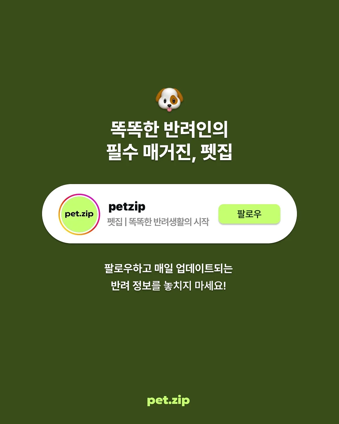 SIGNATURE CLASSIC 속눈썹 8