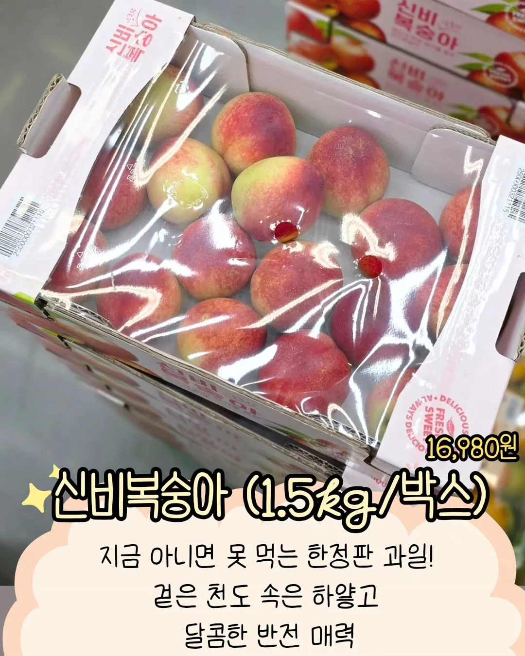 미니 탁구대 8