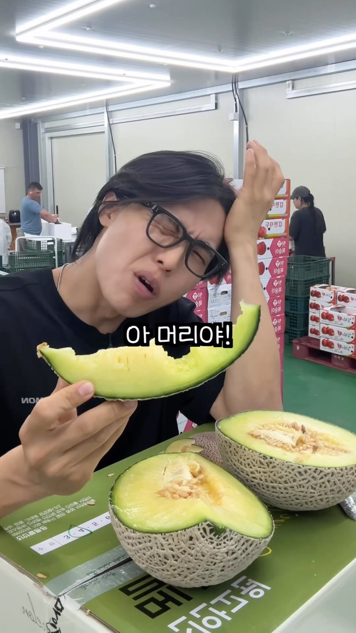 모기퇴치기