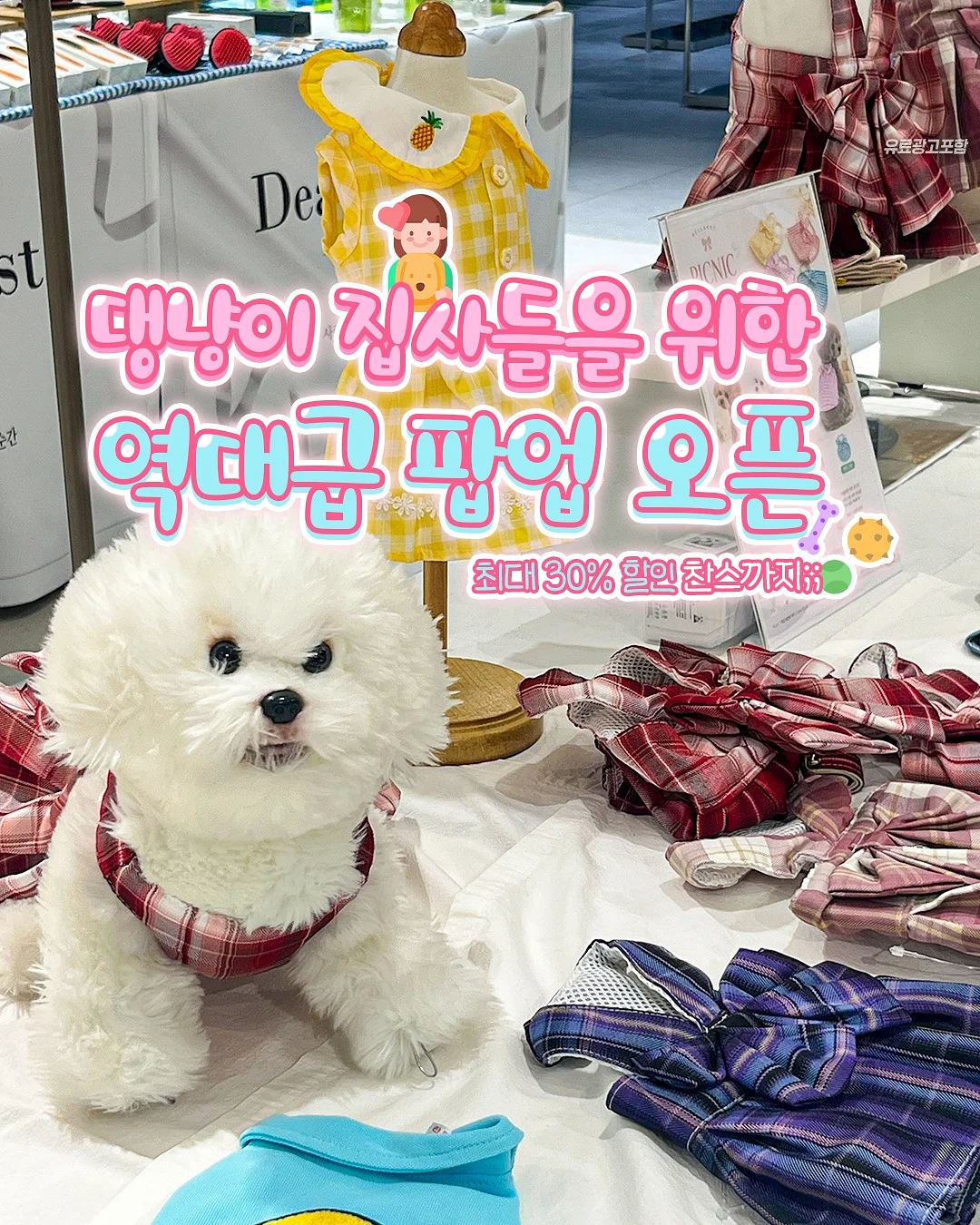 후들썸머pt 1