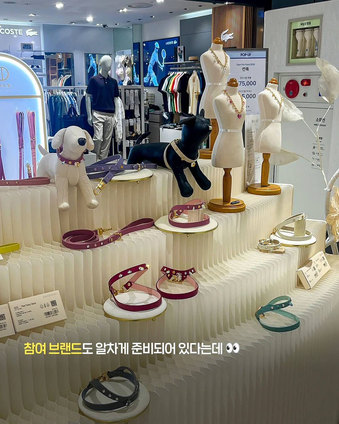 후들썸머pt 4