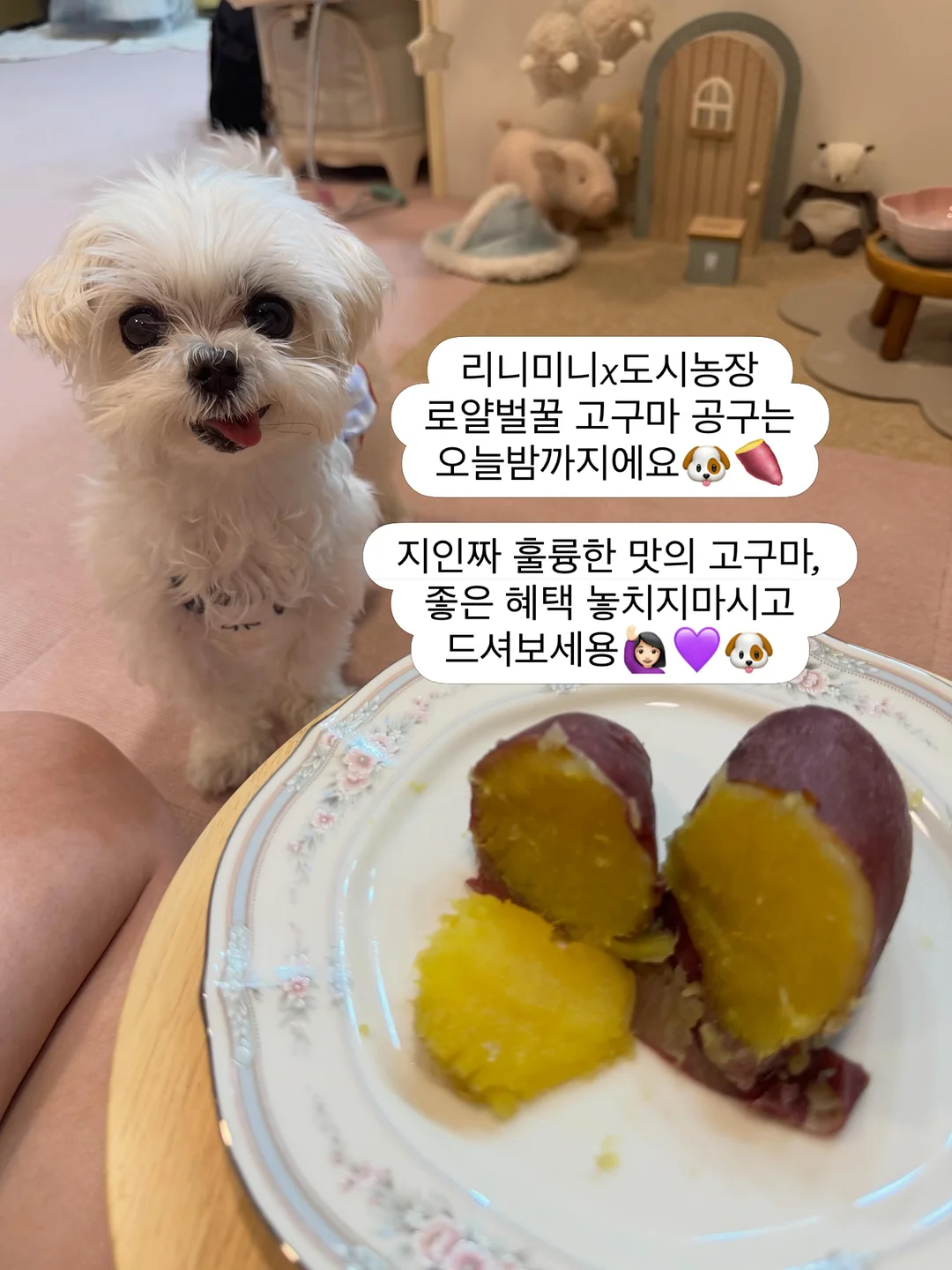 클리커 키링 1
