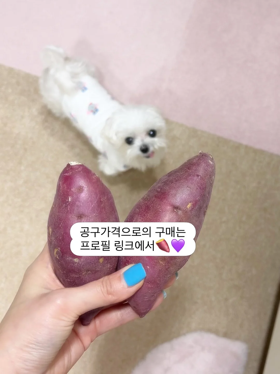 클리커 키링 2