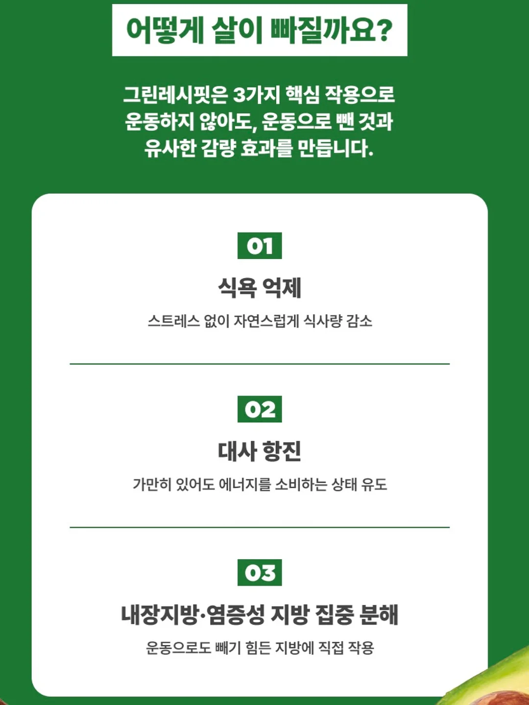 이스턴크루즈 일본여행 18
