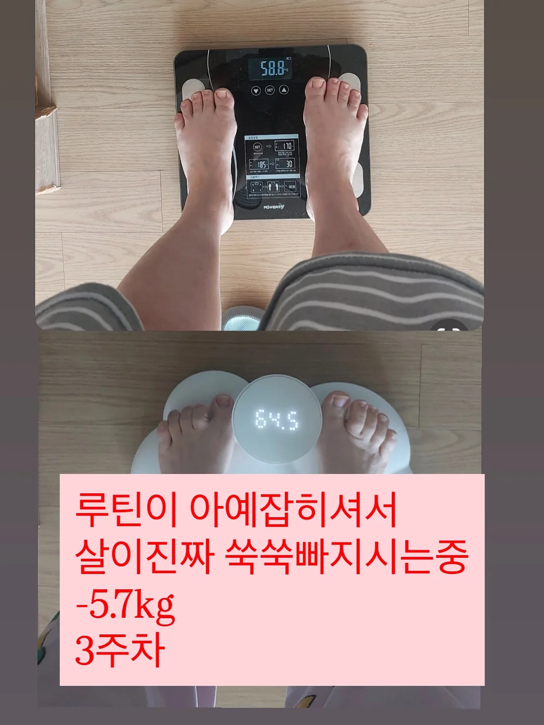 이스턴크루즈 일본여행 4