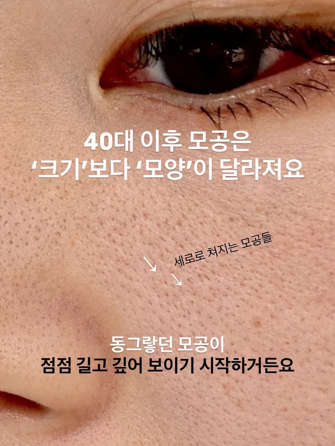 케네스필드 제품 1