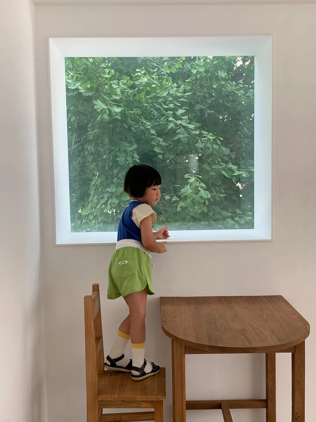쥬디자켓 11