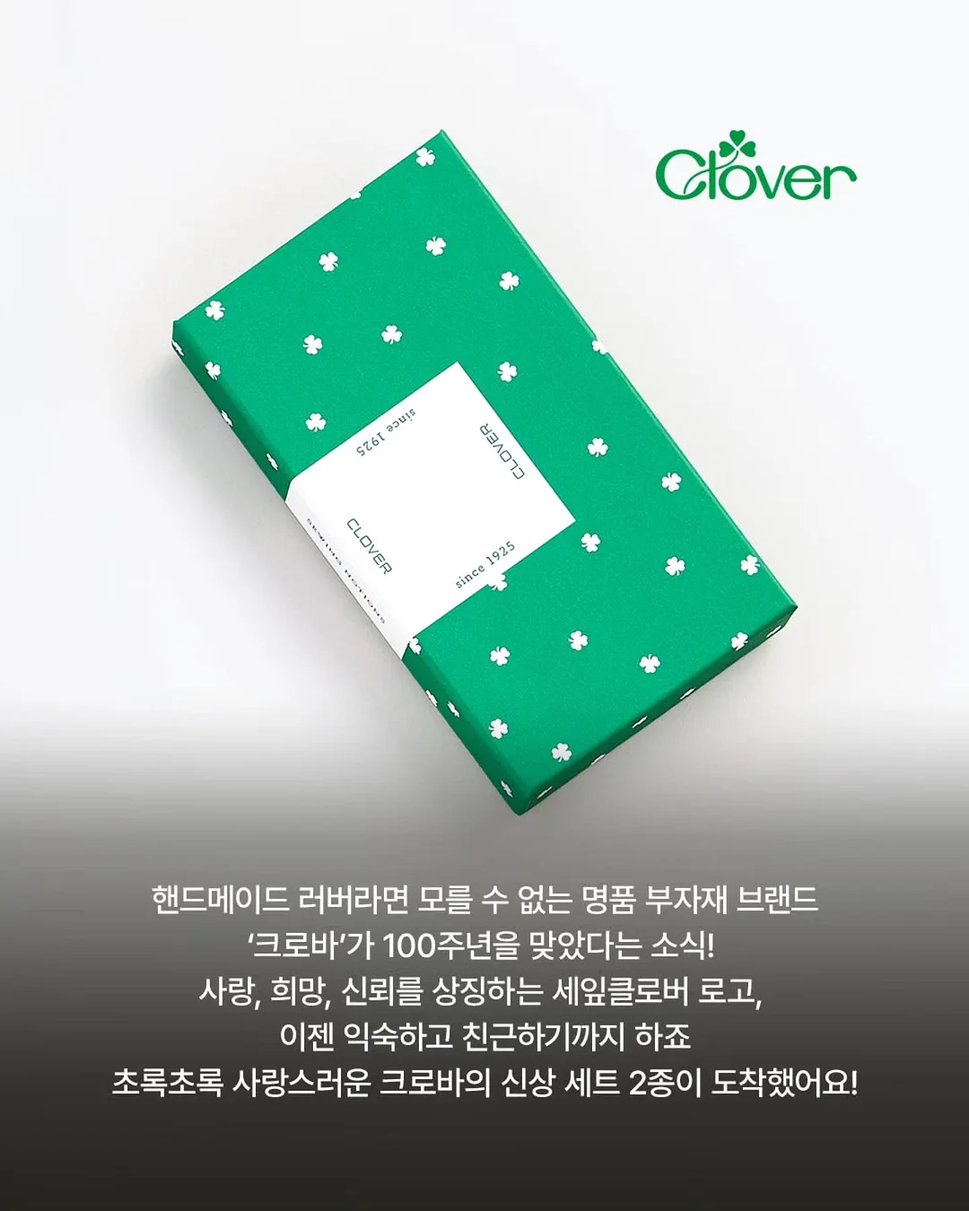 썸머린다백 패키지 2