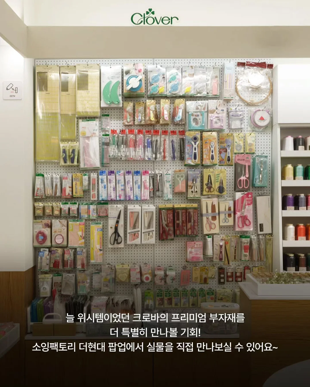 썸머린다백 패키지 8