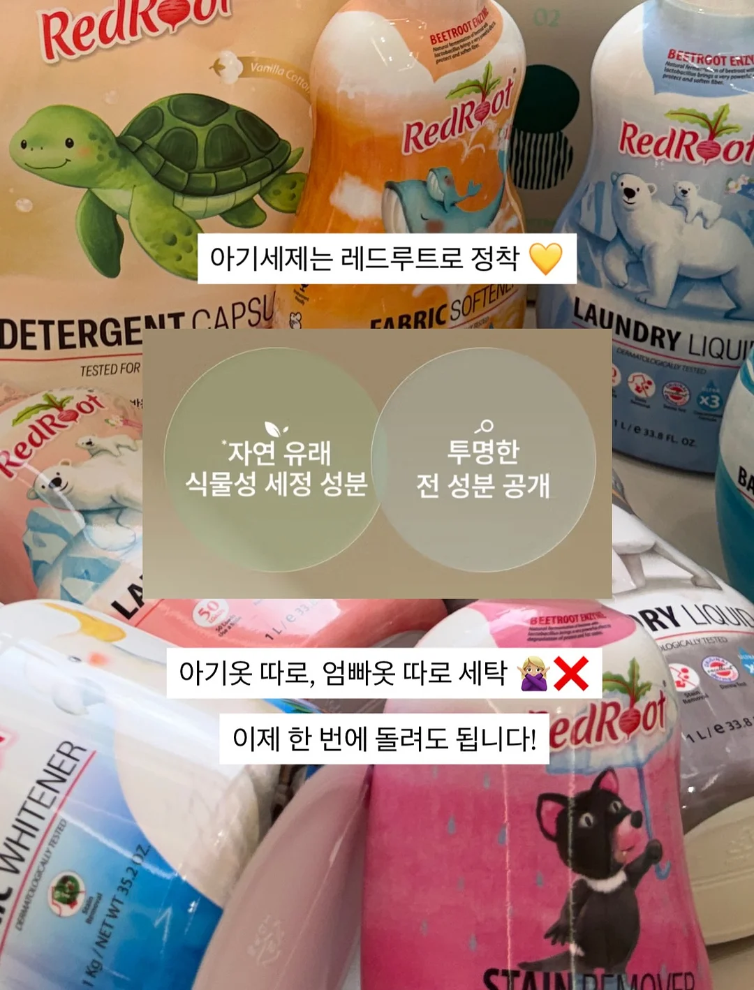 MS 69 N 순금 팬던트 12