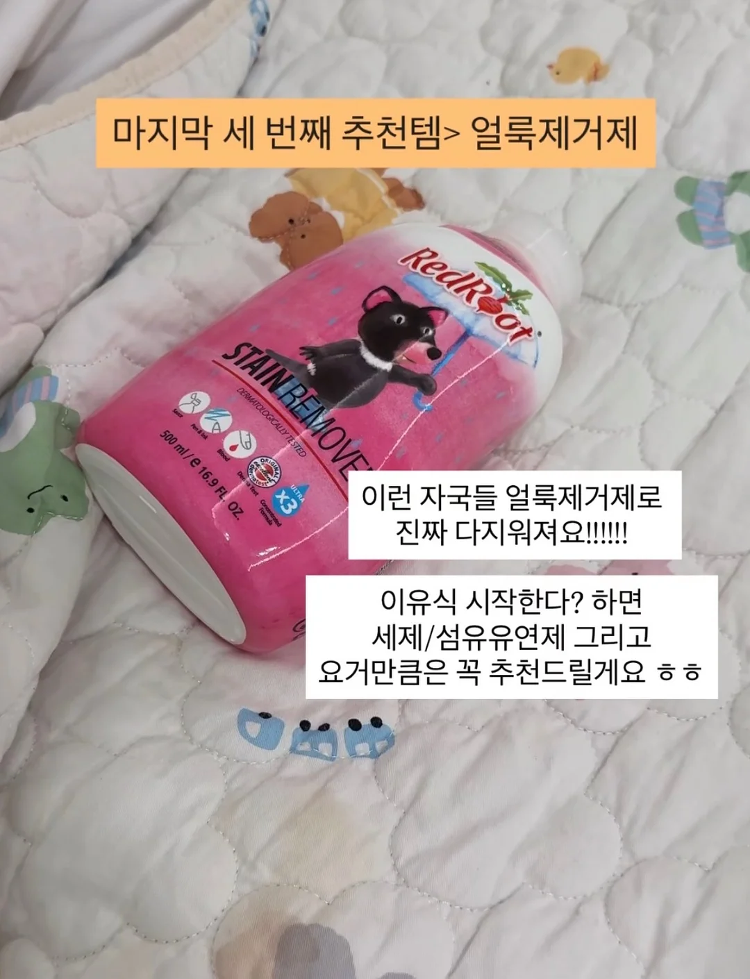 MS 69 N 순금 팬던트 6