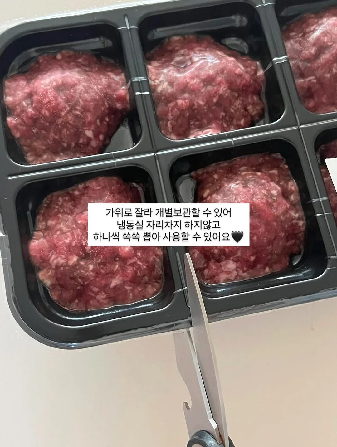 대형 모기장 5