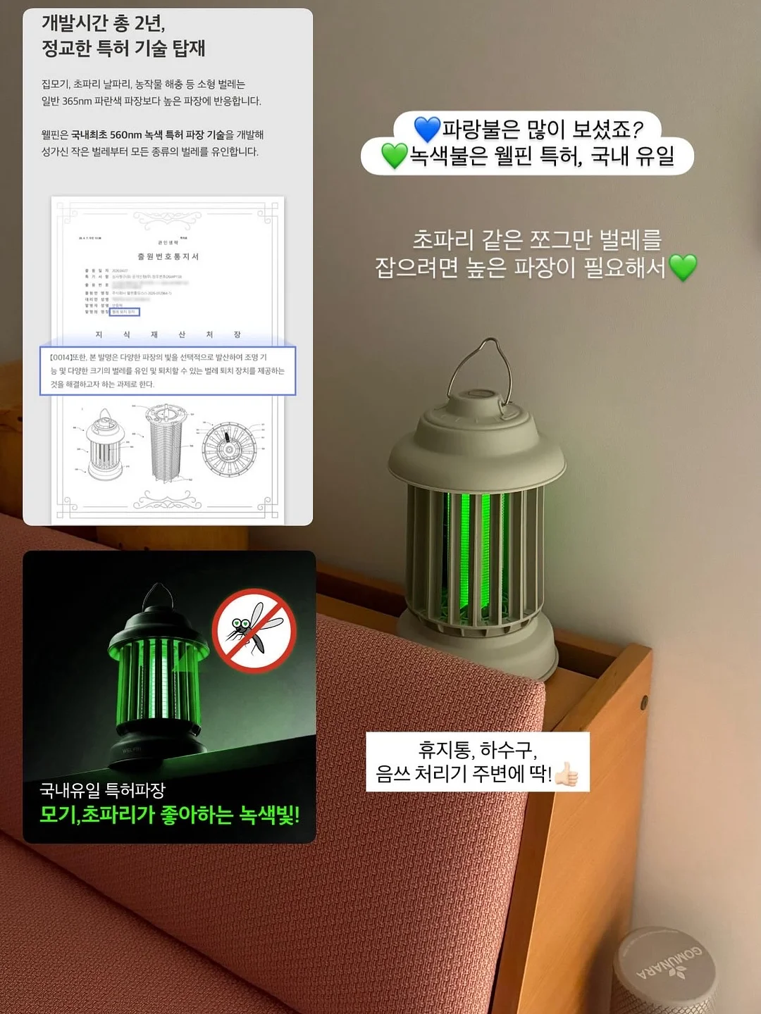 칠순 설기 & 송편 8