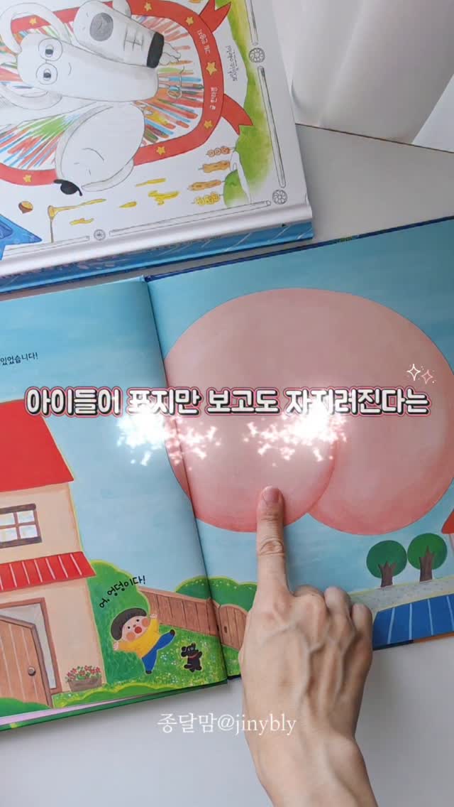 원목 식물 보존 박스