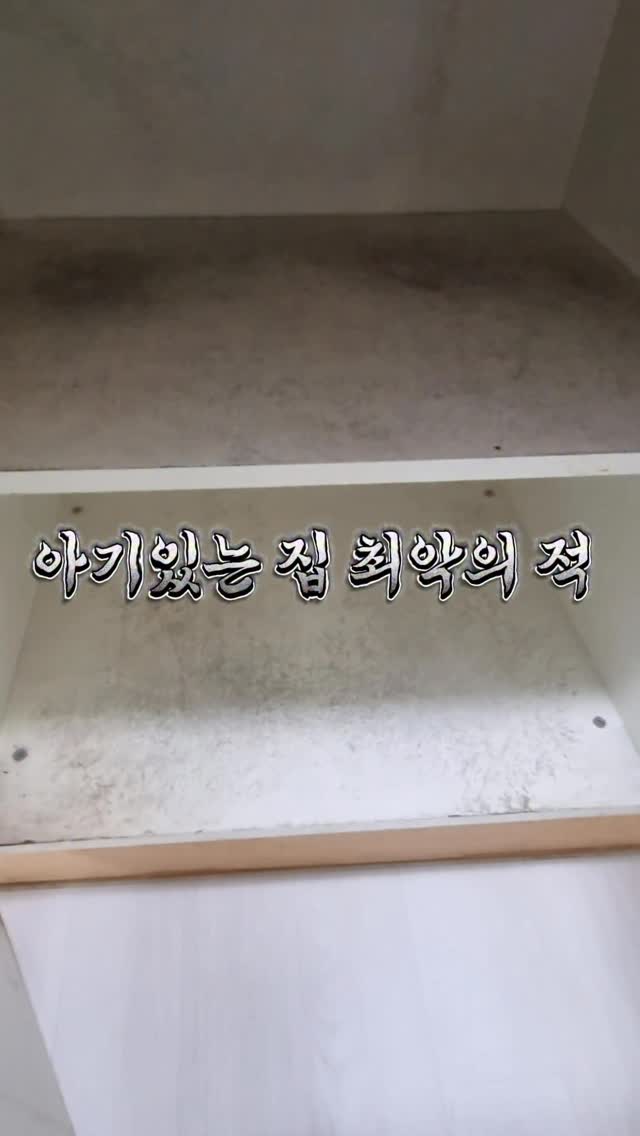 테일러드 셔츠