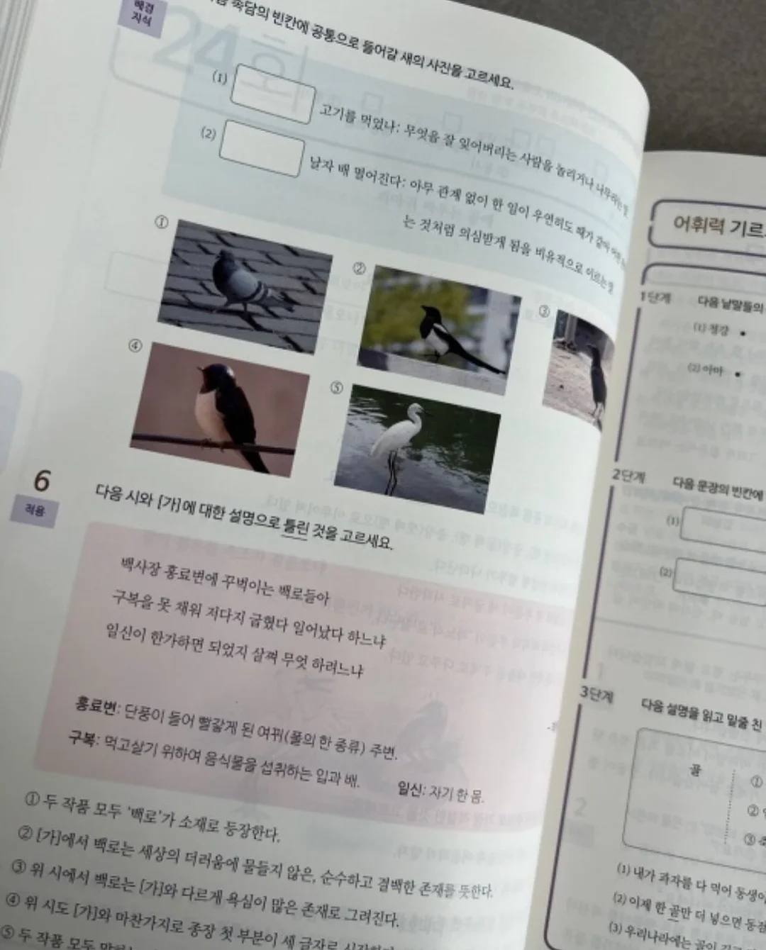 하루숄 11