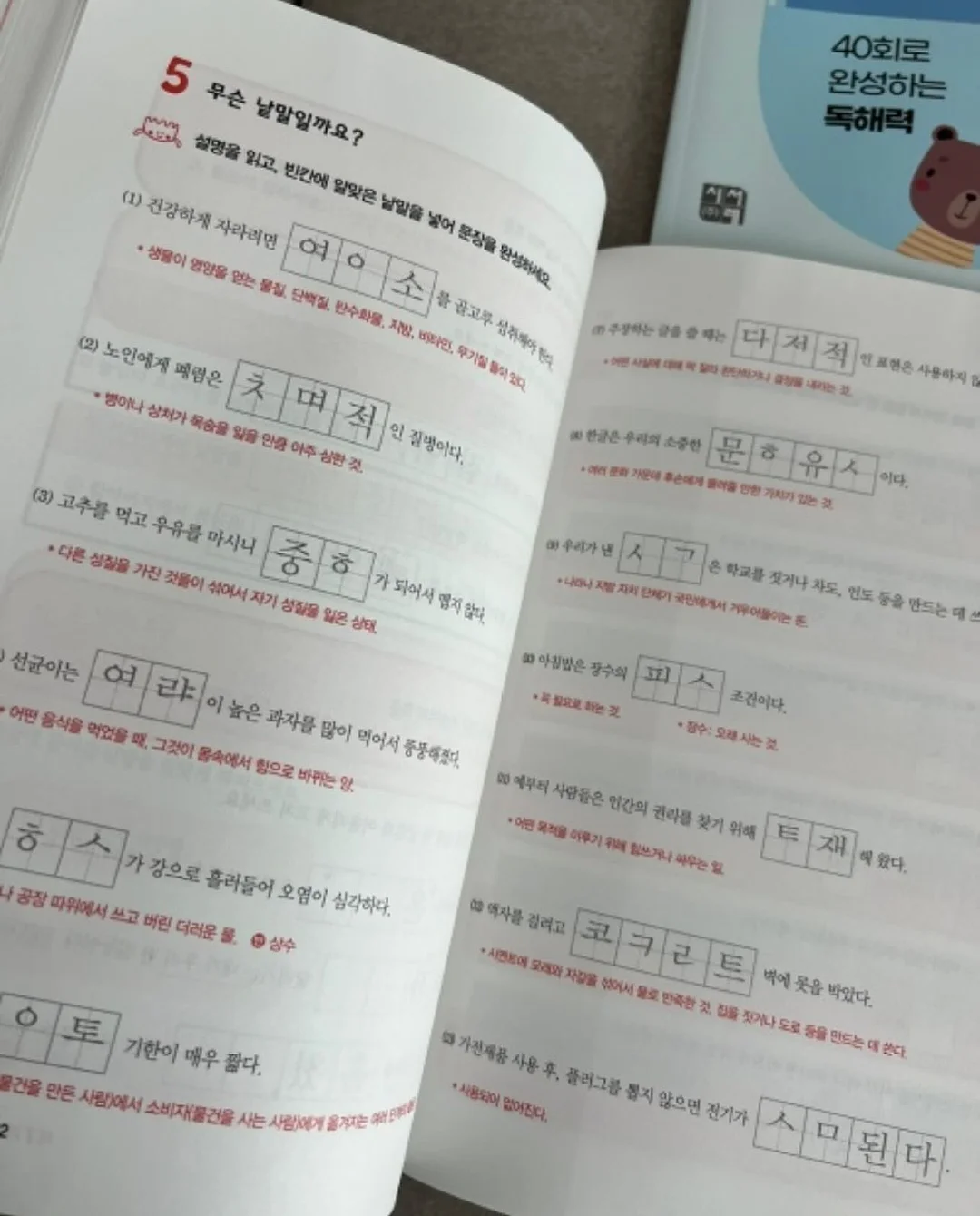하루숄 12