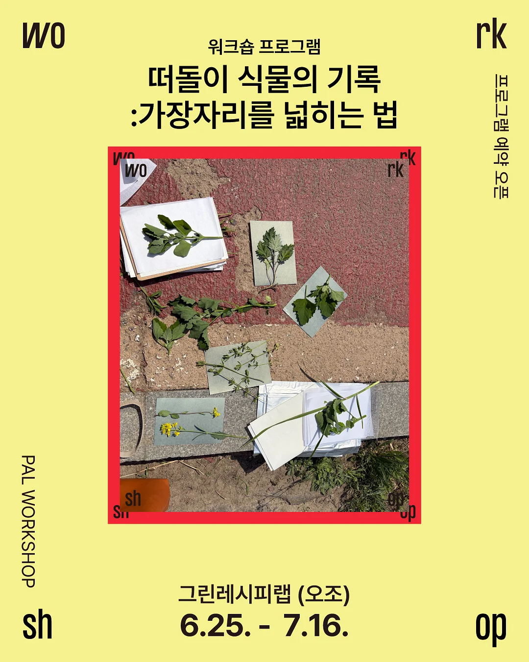 썸머 코튼 쇼츠 1