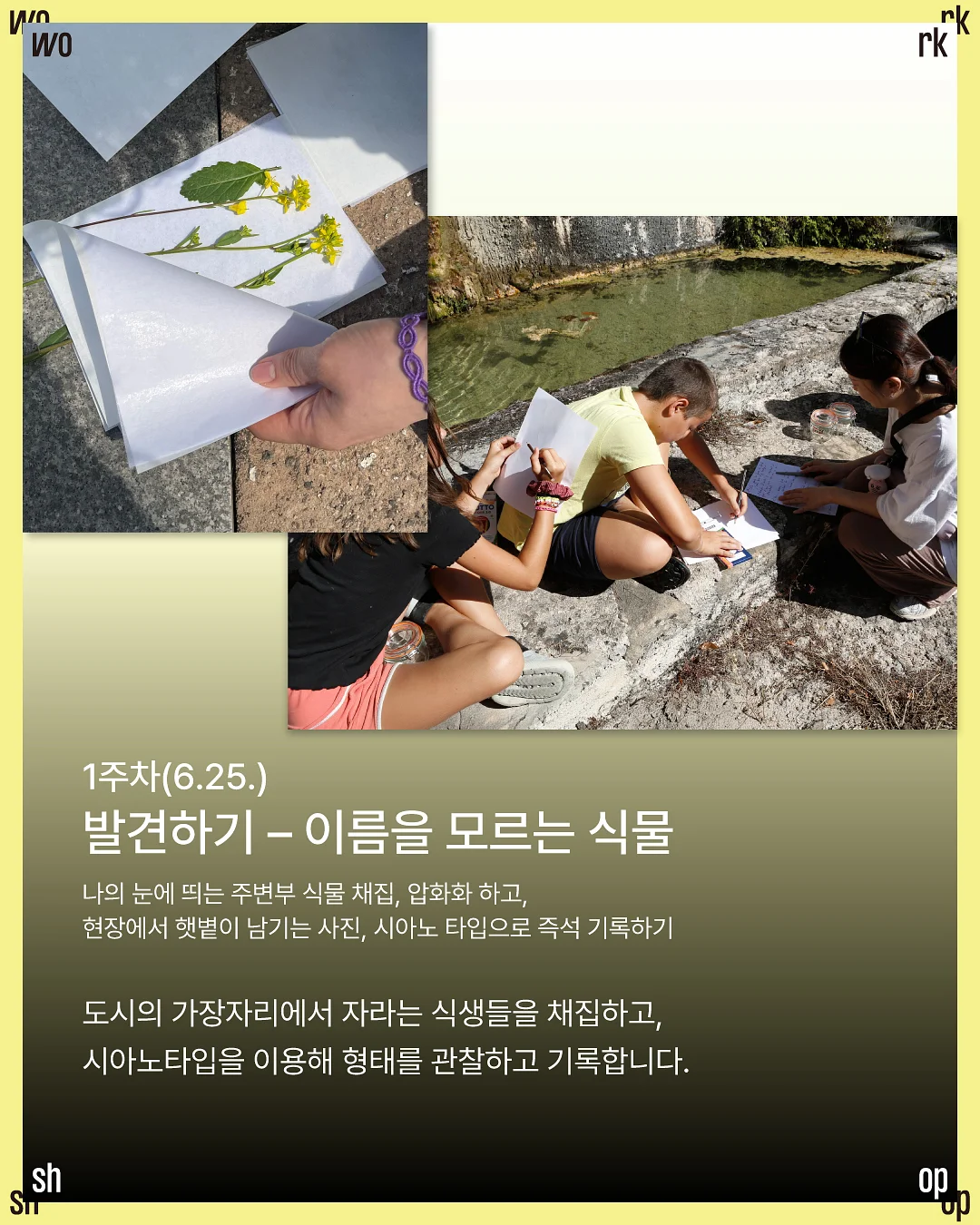 썸머 코튼 쇼츠 3