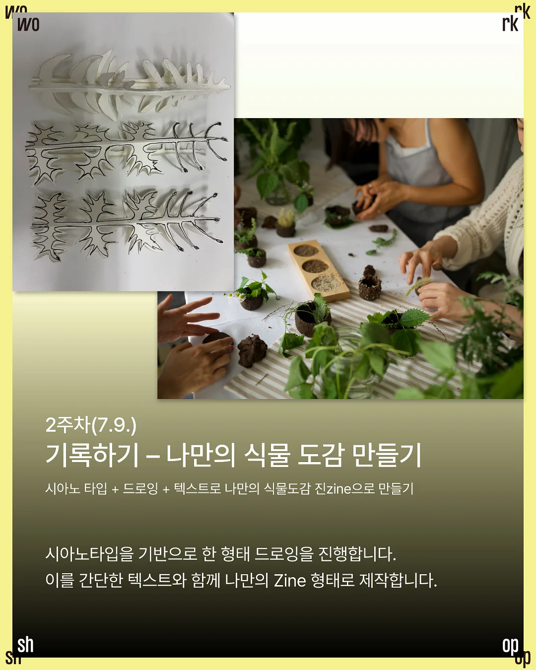 썸머 코튼 쇼츠 4