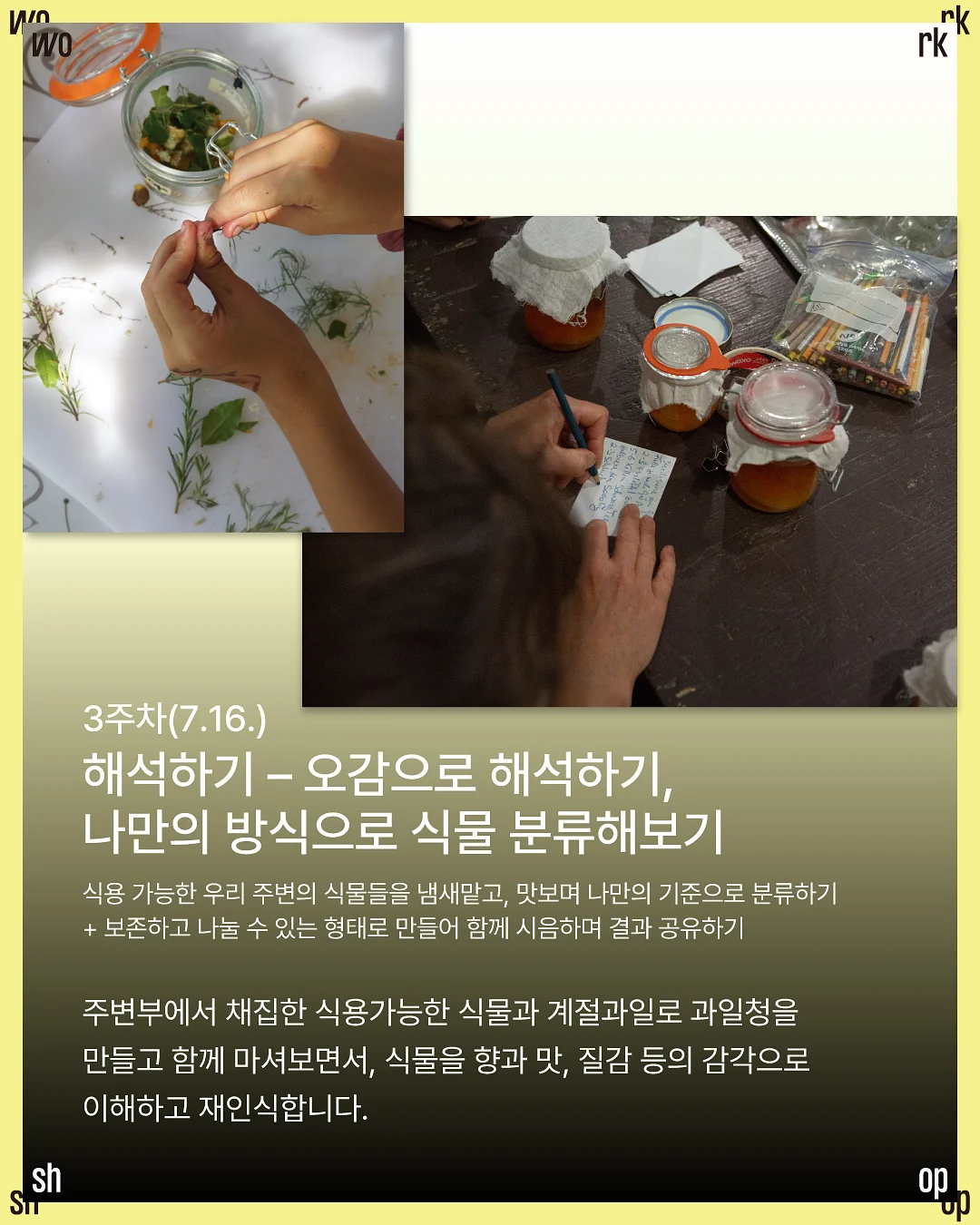 썸머 코튼 쇼츠 5