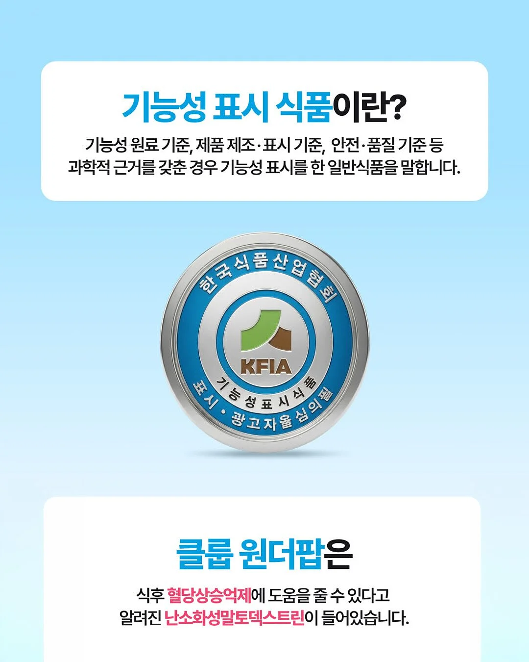 프렘 플레온 무쇠그릇 17